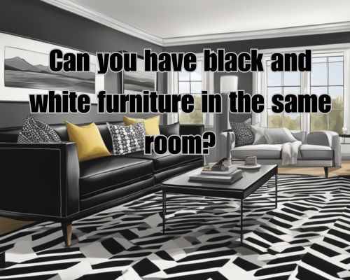 A room with a mix of black and white furniture, including a black couch, white coffee table, and black and white patterned rug