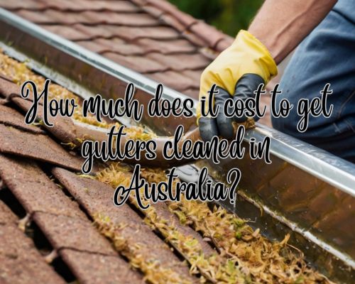 a not so costly roof and gutter cleaning in Australia