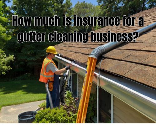 an insured home and under gutter maintenance