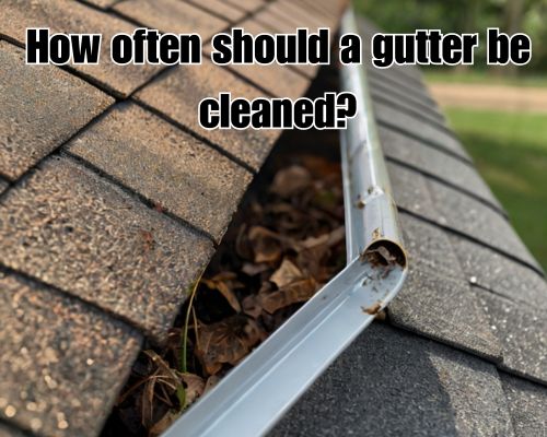 Leaf-filled gutter requires cleaning.