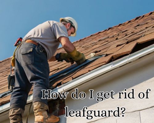 The roof’s leafguard is free of debris.